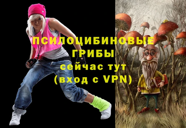 эйфоретик Покачи