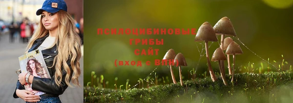 2c-b Валдай