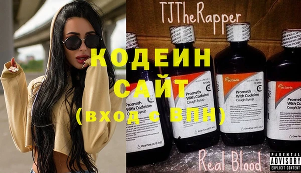 эйфоретик Покачи