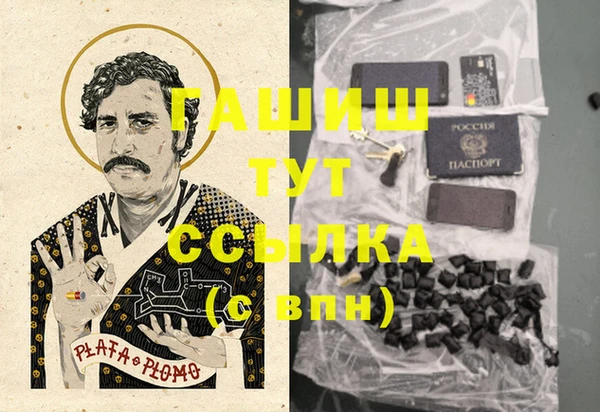 эйфоретик Покачи