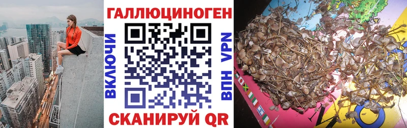 Псилоцибиновые грибы мицелий  продажа наркотиков  Пойковский 